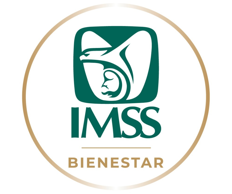 Logo IMSS